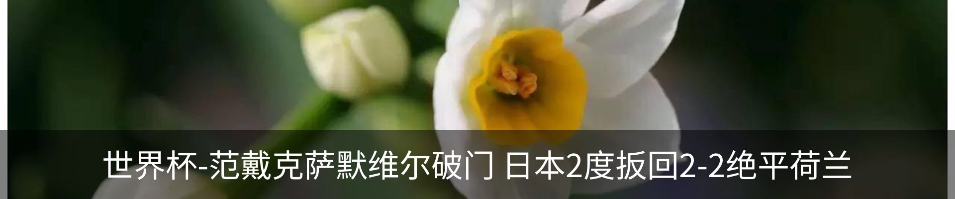 新闻中心